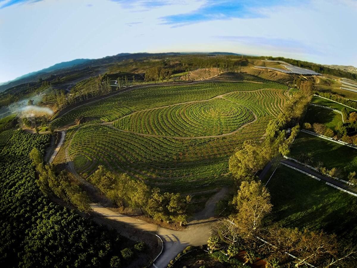 纪录片《我家有个开心农场》：放手让大自然发挥作用，恢复土地的生物多样性