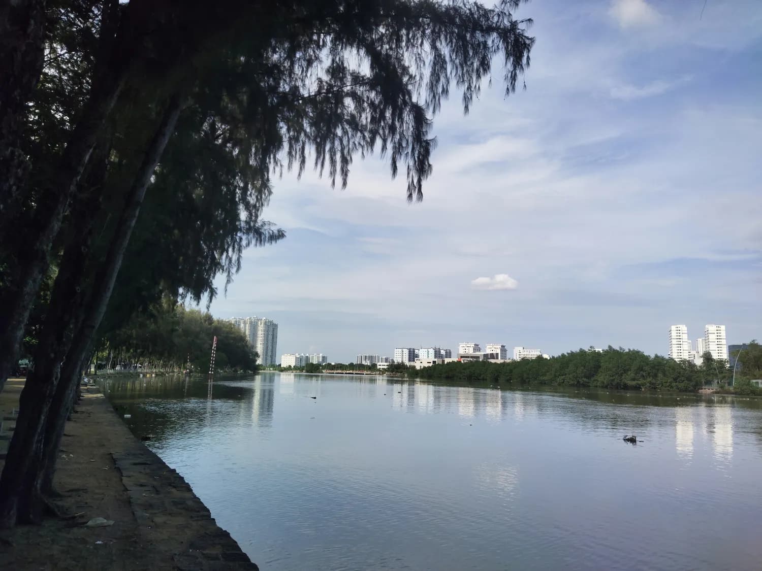 琼海冬日打卡地：万泉河畔赏景，龙寿洋花海漫步