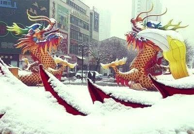 探索龙的真实形象：历史文献中的记载与解读