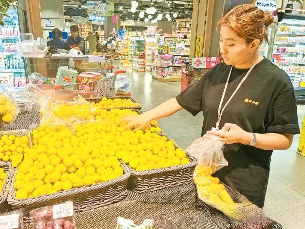 乌鲁木齐杏子季：产量增三成带动价格回落