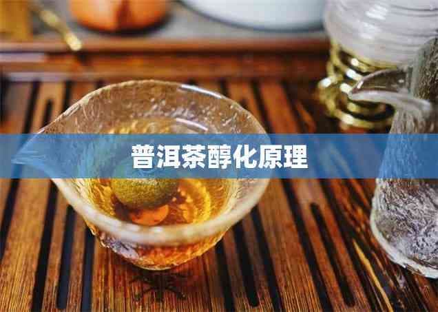 普洱茶醇化原理：微生物作用、氧化反应与时间积累的完美融合