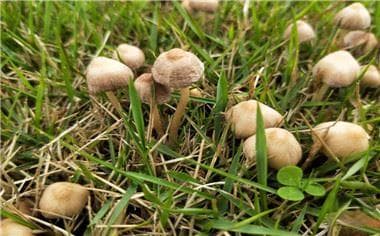 没有证的土地纠纷如何找证据？法律专家为你解答