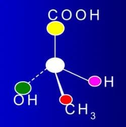 探索手性分子基础：走进手性分子的奇妙世界