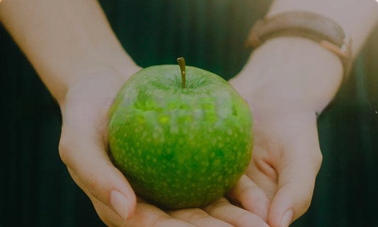 营养师颁发证书机构的权威性与影响力分析