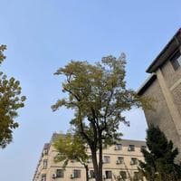 衣服的肩宽、胸围、衣长、袖长测量方法详解