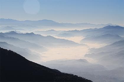 属鸡和属蛇三合：生肖配对与相性解析