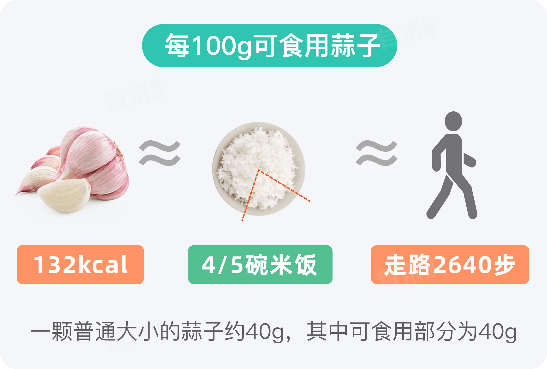 蒜子的热量