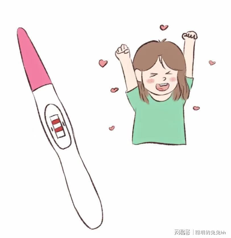 孕期生活全攻略：从怀孕到待产