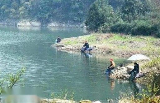 冬季钓鲫鱼怎么选择钓位？什么时候时间出钓最好？