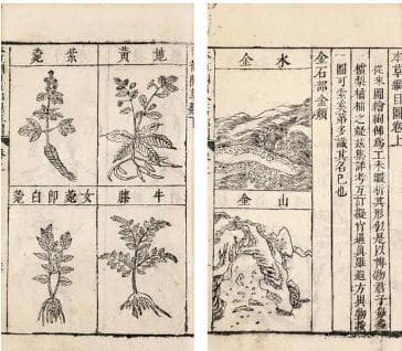 本草纲目·第三卷·百病主治·鼻原文是什么内容？
