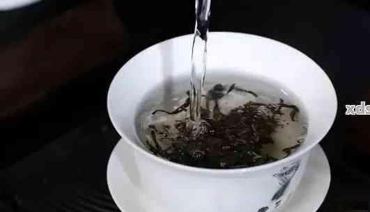 探究泡普洱茶的用水：水质、度与茶具的影响