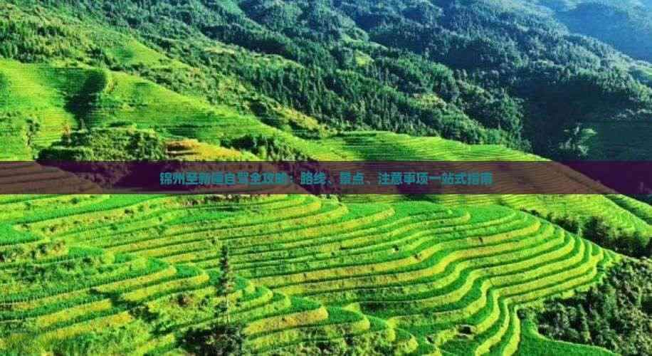 锦州至新疆自驾全攻略：路线、景点、留意事项一站式指南