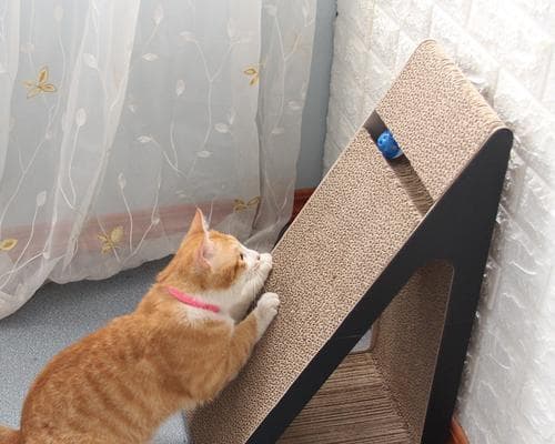 猫抓板选购指南：如何为你的猫咪选择最佳猫抓板？