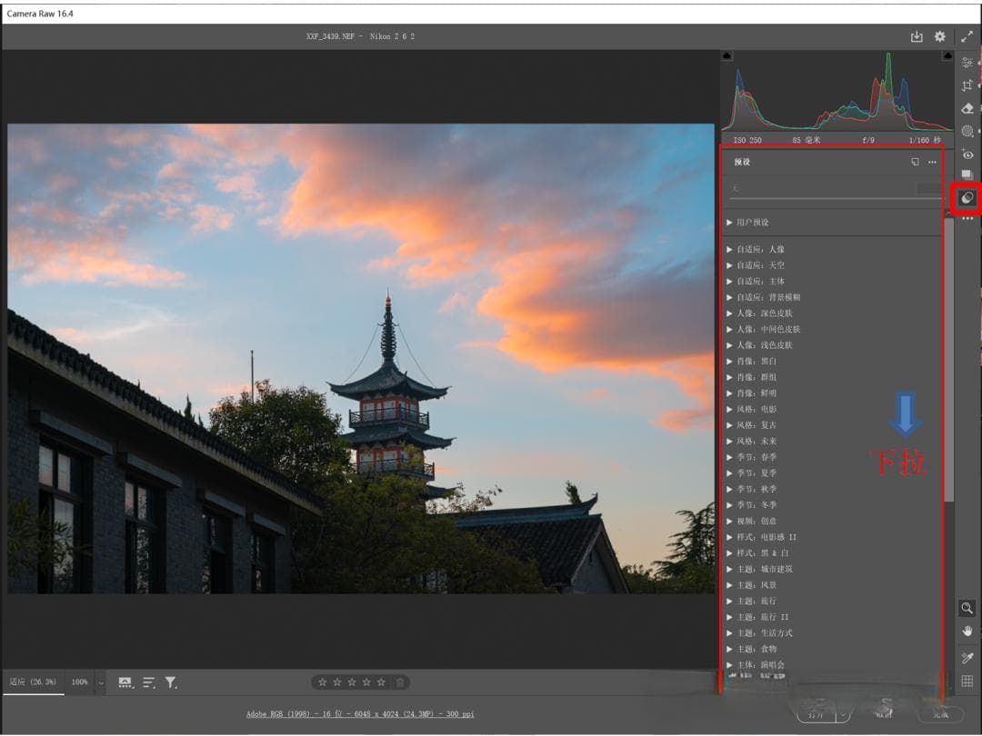 PS Camera Raw预设使用与创建指南