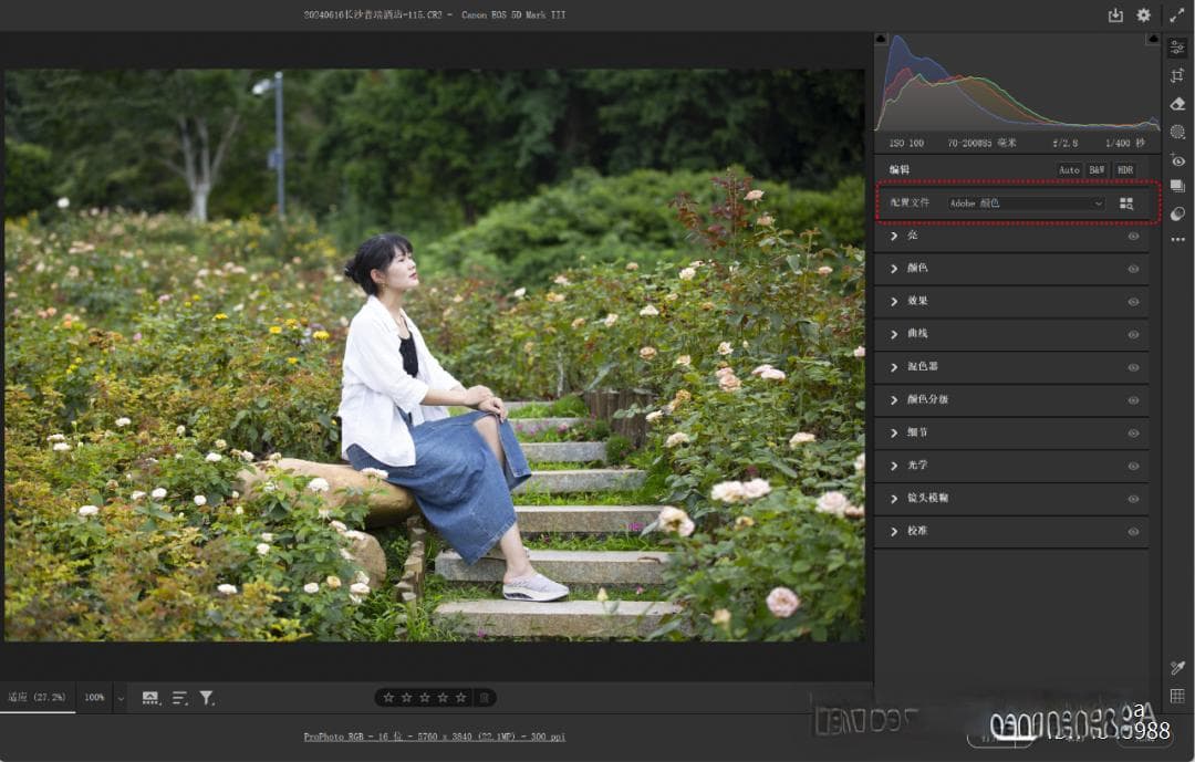 Camera Raw配置文件详解：功能、使用方法与技巧