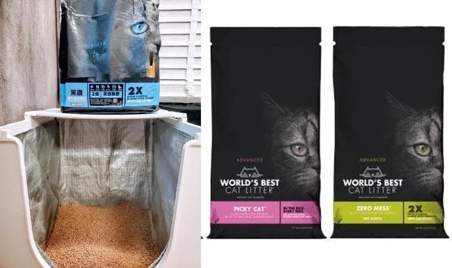 猫砂怎么选？8种猫砂比较分析整理懒人包！