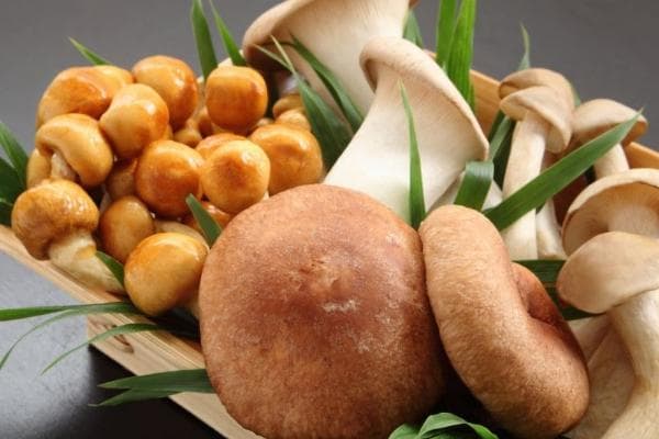 吃什么养脾最快 最能补脾养脾的12种食物