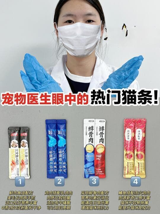精选内容集|挑选最佳猫条 提高喵星人健康的喂食指南