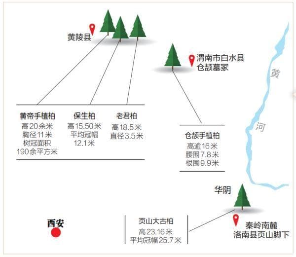 中国5000年以上古树名木有5株，全部在陕西，均得到妥善保护