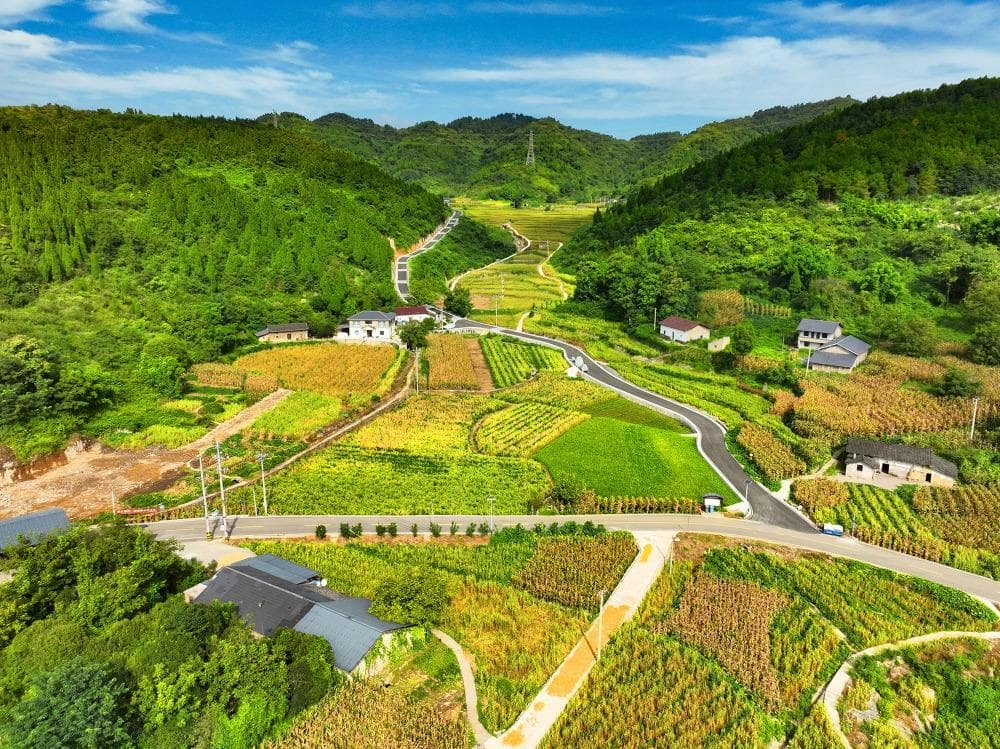 北碚静观镇中华村：擦亮清廉底色，助推乡村致富增收