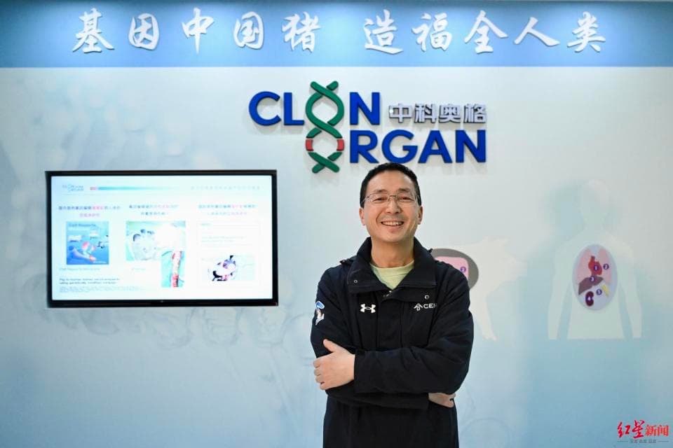 奔跑吧成都｜中国首例体细胞克隆猪完成人，专注“成都造”异种器官移植