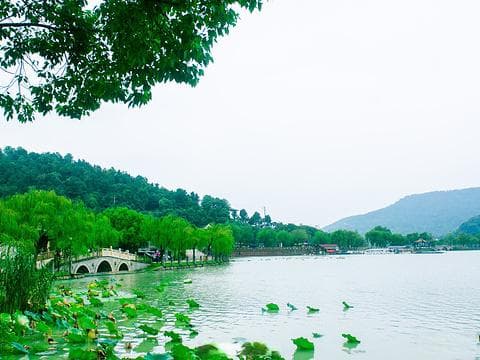 南北湖旅游攻略：自然与文化的深度碰撞
