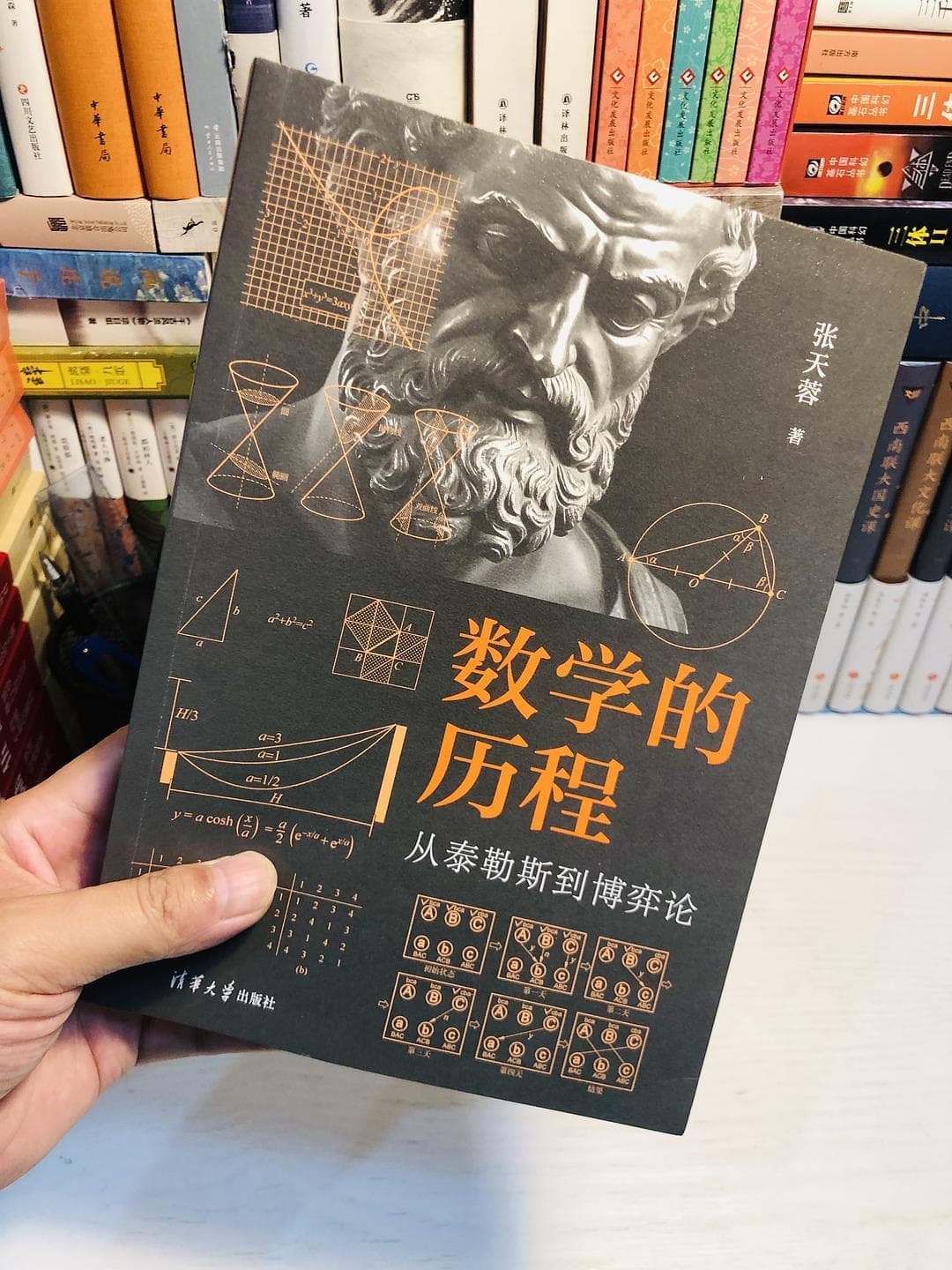 数学的乐趣在追求真理的历史故事中！