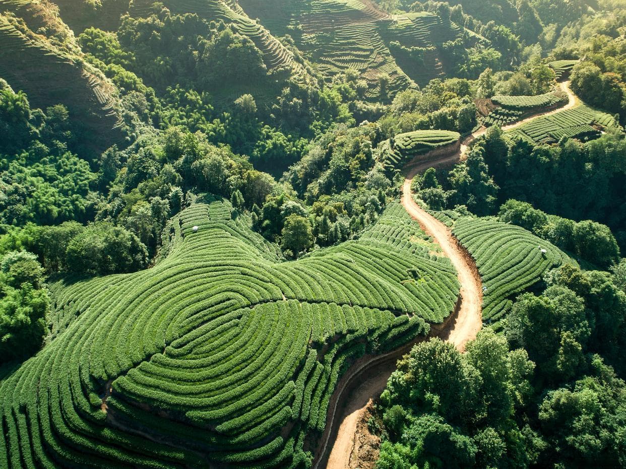 雁南飞茶田景区，冬日里的温暖与诗意，4日游攻略