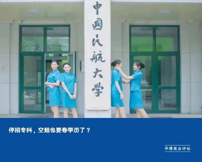 停招专科，空姐也要卷学历了？