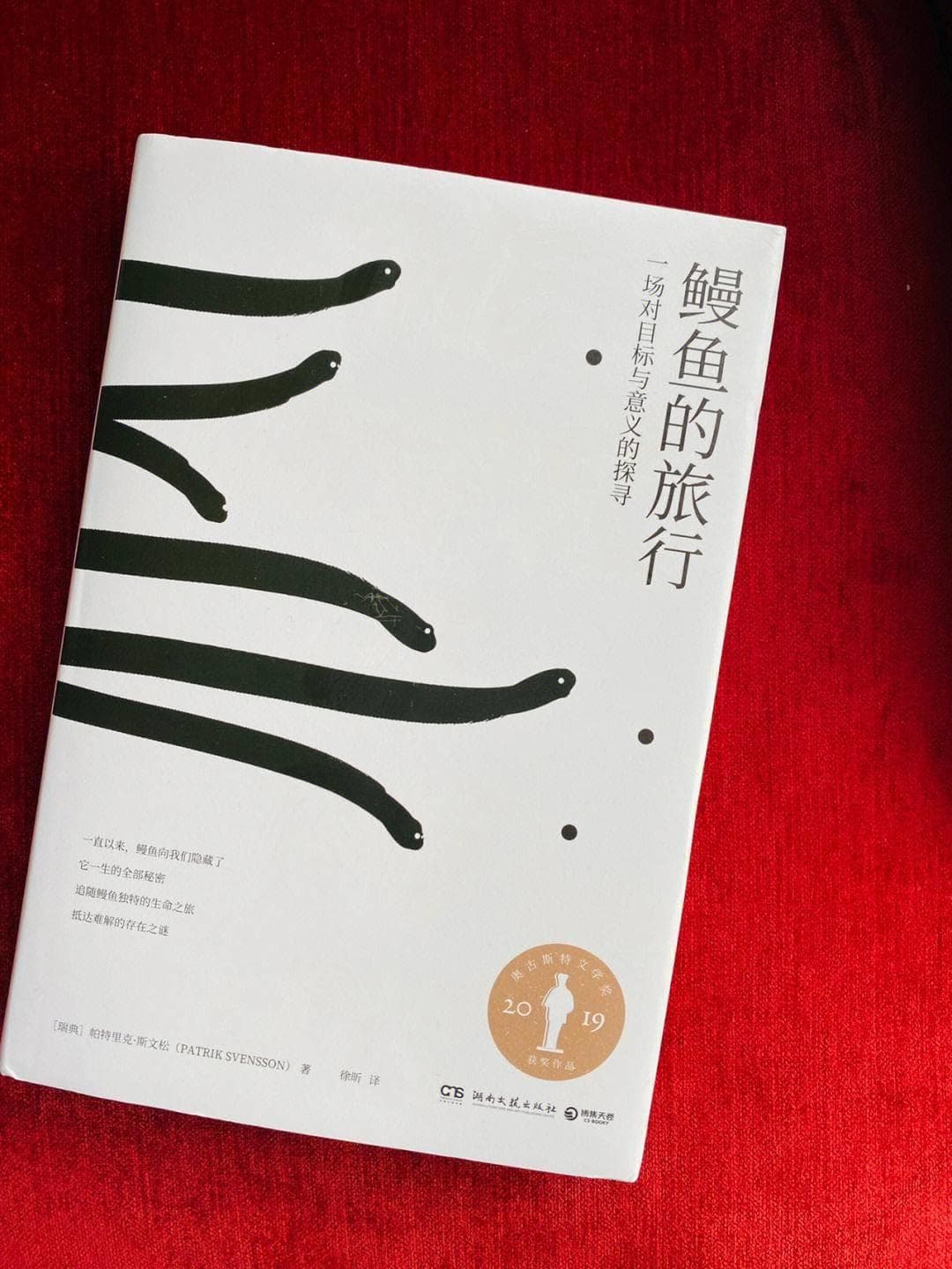 视死忽如归：生命的终极价值与人生意义的探寻