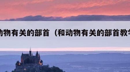 与动物有关的部首（和动物有关的部首教学设计）