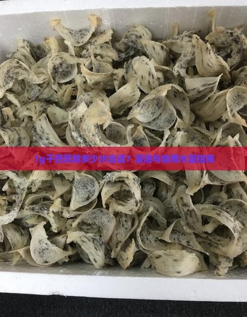1g干燕窝放多少水合适？浸泡与食用水量指南