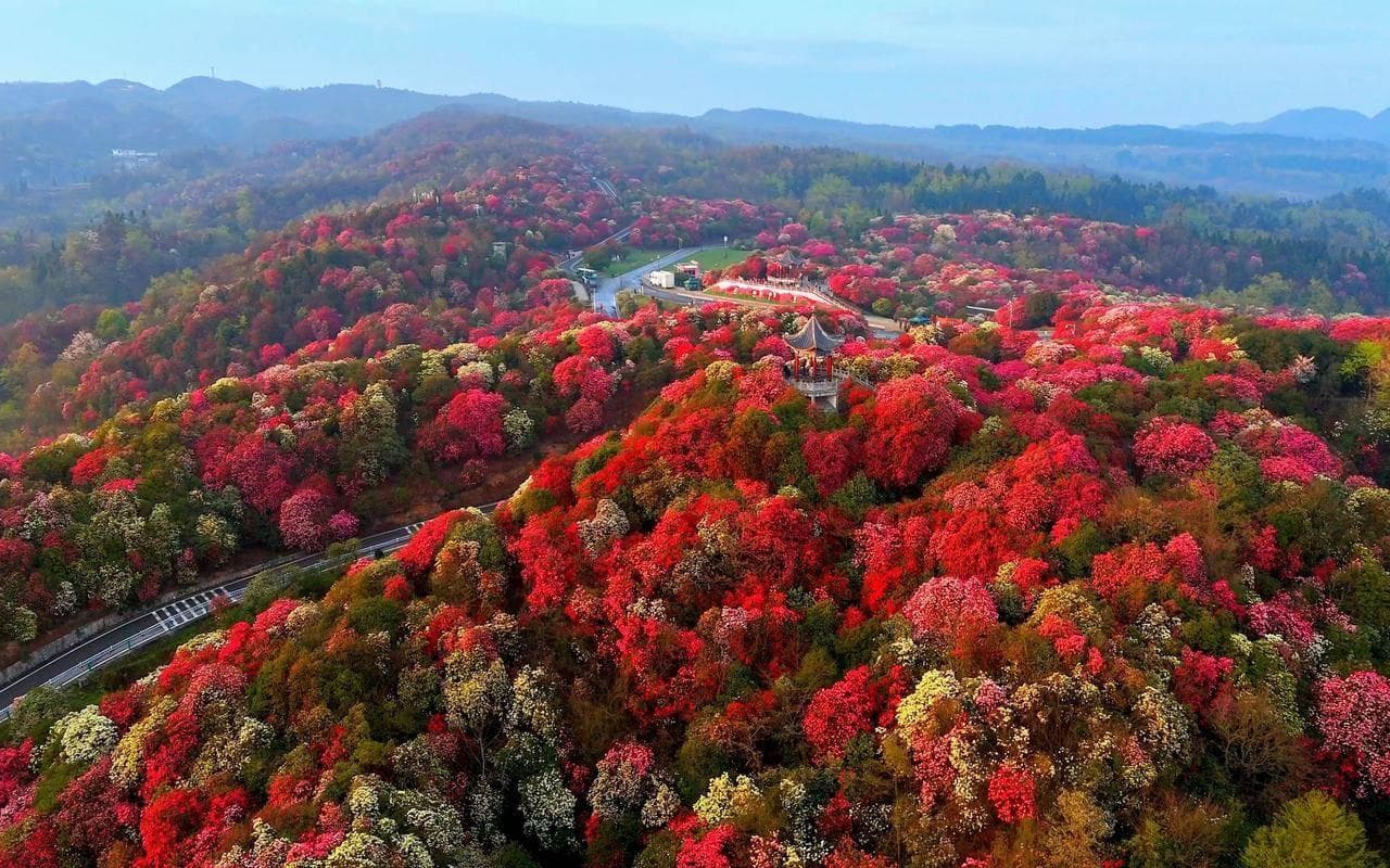 毕节旅游攻略景点大全，毕节旅游必去十大景点有哪些？看这里！