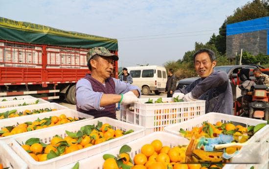 简阳：推动乡村全面振兴 加快形成农业农村新优势