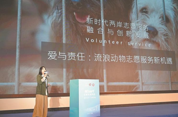 共筑公益梦 搭起爱之桥——闽台青年公益交流活动侧记