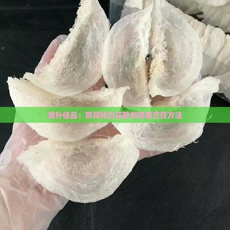 滋补佳品：燕窝炖白花胶的完美烹饪方法