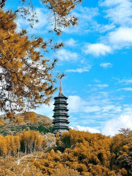 宁波古建筑瑰宝：天童寺的历史与文化