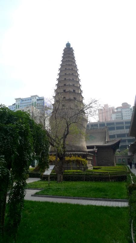 兰州市博物馆：历史与现代的交织
