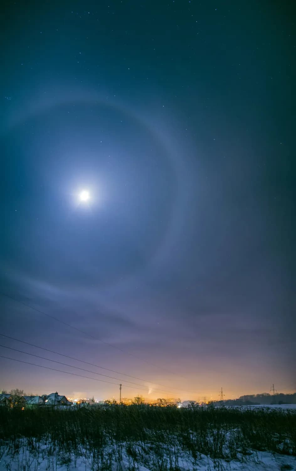 厦门园博苑打卡攻略：月光环夜景必看！