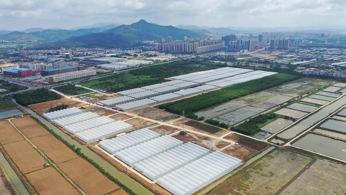 珠海将投产首个设施蓝莓基地，预计年底迎来首批采收