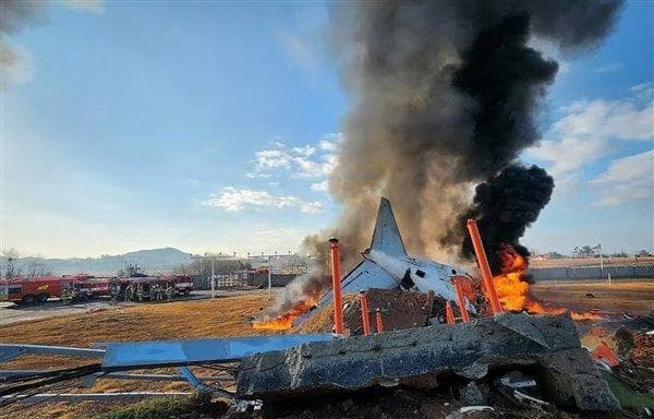韩国致179死空难初步调查报告公布 鸟击成关键线索