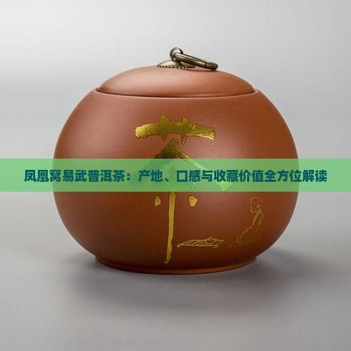 凤凰窝易武普洱茶：产地、口感与收藏价值全方位解读