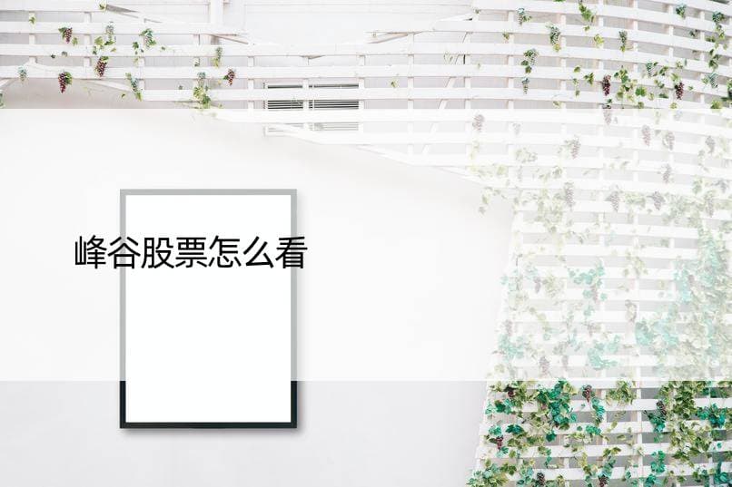 峰谷股票怎么看