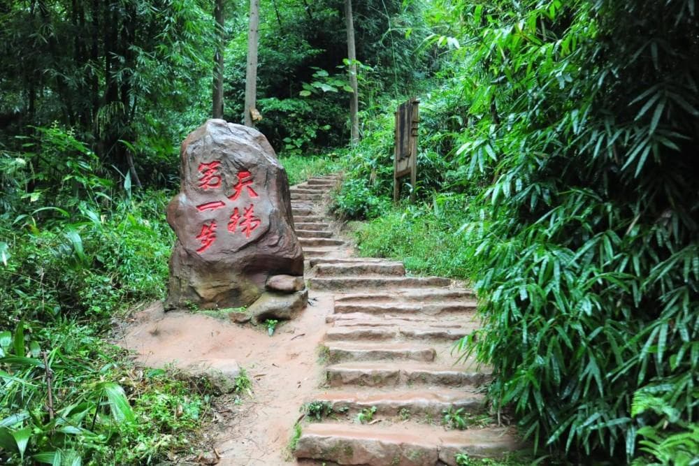 1314爱情自驾、秘境徒步……江津四条特色游线亮相