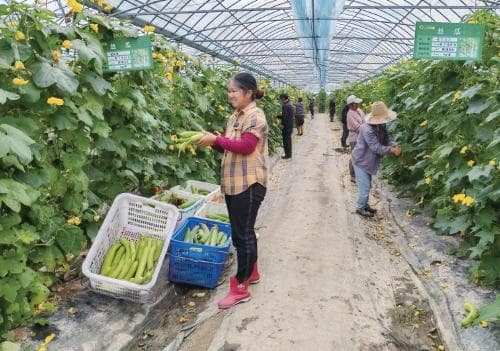 抚州用好帮扶资金，1581个产业基地带动近2万农户增收