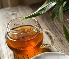 【药师说药】钩藤——息风定惊，清热平肝