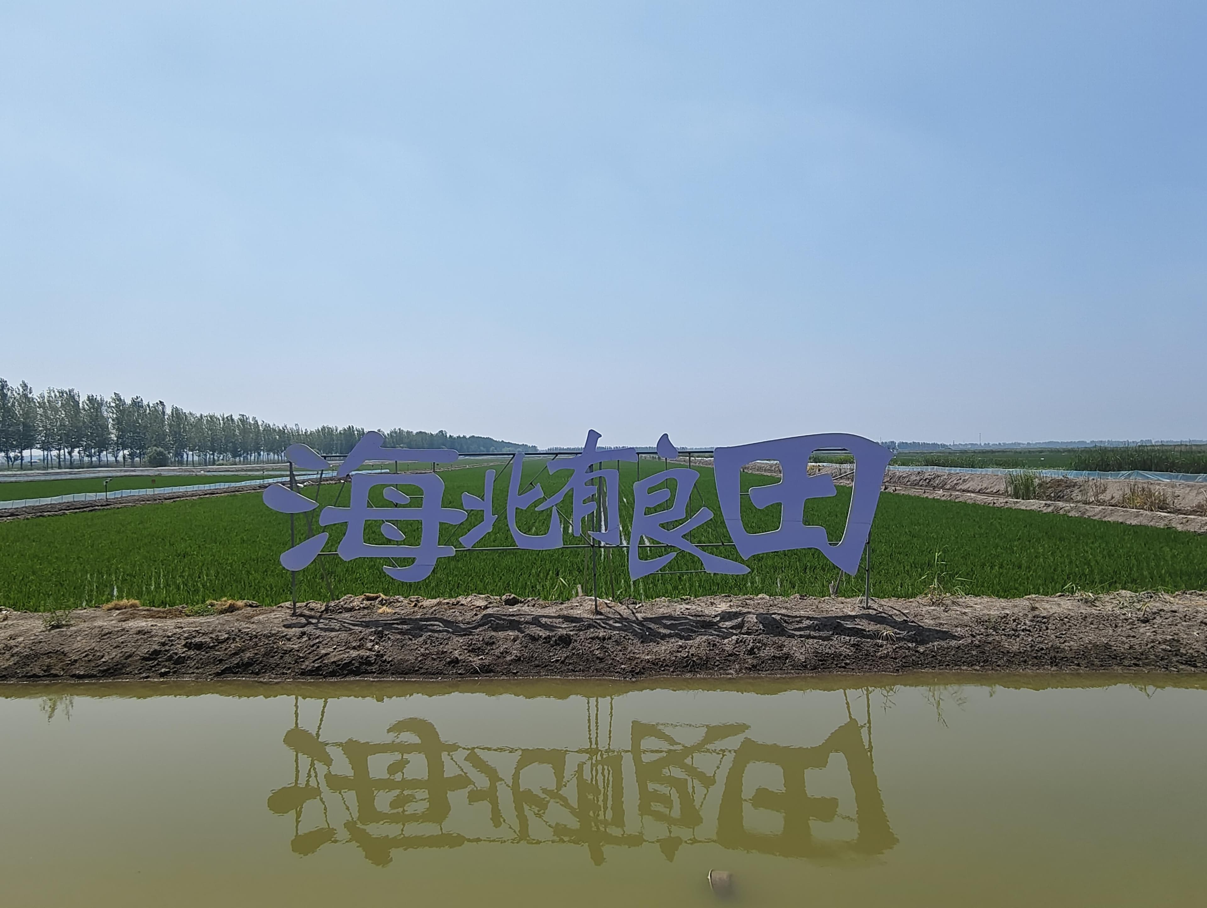 海北有良田！河北芦台经济开发区推出农业认养新模式