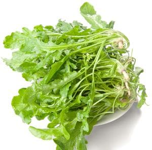 芨芨菜的功效作用