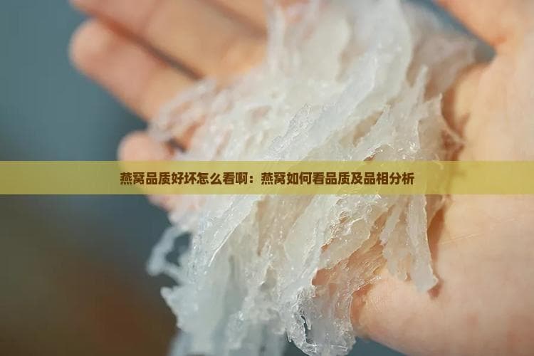 燕窝品质好坏怎么看：燕窝如何看品质及品相分析