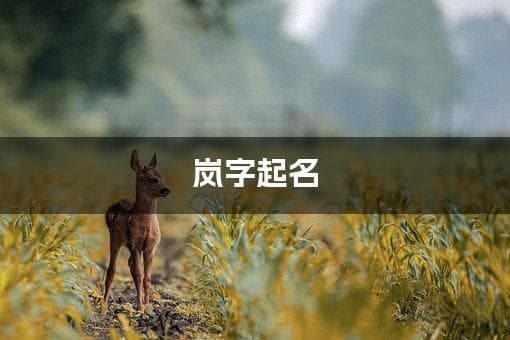 岚字起名：选取寓意深刻的女宝宝名字